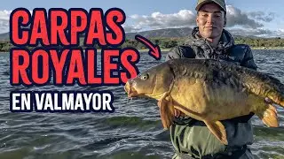 🔥 EXPLORANDO VALMAYOR EN BUSCA DE CARPAS ROYALES 🔥