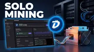 Добыча Digibyte в одиночку с помощью Umbrel | Полное руководство