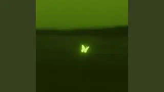 INFP&rsquo;s Diary (Night)