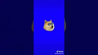 dogecoin Memes ( tik tok )