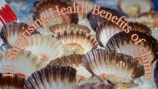 11 Surprising Health Benefits of clams