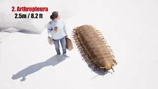 30 Extinct Monsters Bigger Than You Think / Size Comparision / Part 1
