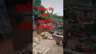 village life style #baitadi  #nepal