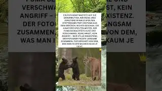 Stille Koexistenz im Wald: Wenn Angst keine Rolle spielt