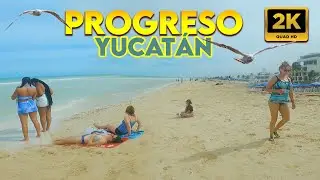 🇲🇽 PLAYA PROGRESO, YUCATÁN, Recorrido !! | Relaxing Tour Walking on the beach MX