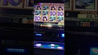 Thai flower mecca bingo Nottingham #slotlife