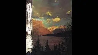 Imaginary Softwoods - Eight [Full Cassette Tapes]