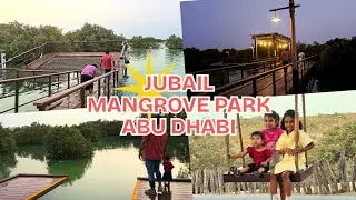 JUBAIL MANGROVE PARK : Exploring the hidden greens of Abu Dhabi 🌿🌊 #JubailMangrovePark #abudhabi 