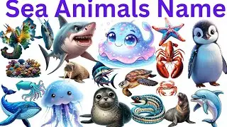 20 Sea Animals Names in English and Hindi | Kids Preschool Learning Video