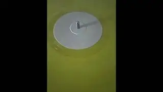 GEM001 D1
