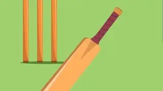 😇❤️cricket 🏏 ka shokeen🤗 Muhammad aayan 👍🔔