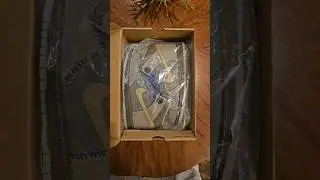 Latest pickup! iykyk #nike #dunk #shoes #sneakerhead #coraline #shorts #viral #foryou