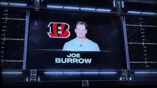 Bengals V.S Eagles madden