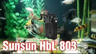 Mini Canister Sunsun HBL 803 | 2 meses de uso @aquahometv5658