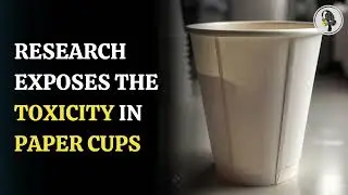 Paper cups reveal hidden toxicity harming the environment | WION Podcast