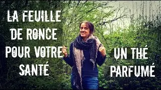 La feuille de ronce pour votre sant&eacute;