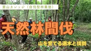 自伐型林業塾（天然林間伐）