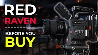 RED Raven: Before You Buy.... // 2024