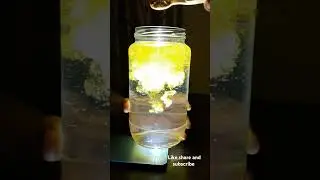 Turmeric water experiment 😍 #music #art #creativity #learning