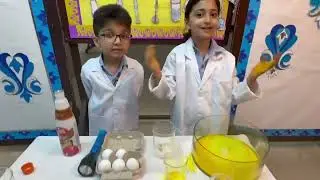 Chemical Alchemy-Achir Jain and Priyanshi Yadav -Sachdeva Public School, Pitampura