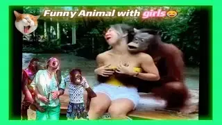 Best Funny Animal Videos from Around the World 14 Januari 2026