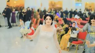 حفلة زفاف ( زياد و سونيا ) الفنان#شاكر_حلو_القيراني P4