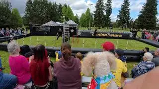 Goldendoodle watches another dog jump #goldendoodle #doodle #dog #petpalooza2025 #Caninestars
