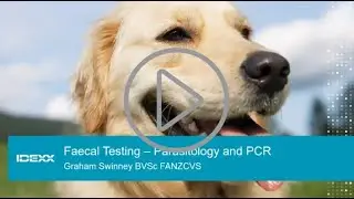 Exploring the benefits of PCR testing in combination with Faecal Parasitology