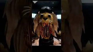 Laveo - Piggy skin teaser