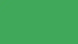 Stunning Emerald Green 8K Ultra HD | Reference Color for Cinematographers