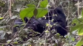 Visit Beautiful Rwanda