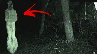 Ilmu Hitam Belum Hilang Pocong Bangkit lagi Setelah 40 Hari