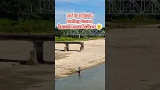 ৰৈ ৰৈ বিনালে Ending Scene ইয়াতেই লোৱা হৈছিলে 😯 Borgang River, Biswanath Chariali #roiroibinale #zg
