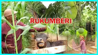 UMURENGE WA RUKUMBERI WONYINE WAKEMURA IKIBAZO CY&rsquo;INZARA MU BURASIRAZUBA BW'U RWANDA