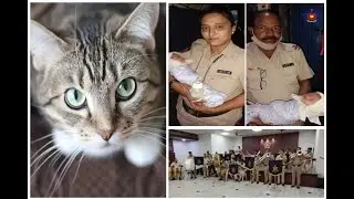 Mumbai Police Rescue Newborn From Drain After Cats Alert Residents