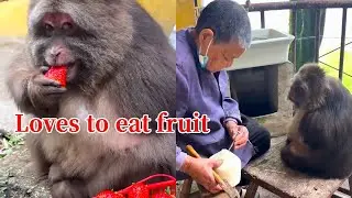 Xingxing Loves Strawberries So Much, She Smiled Happily When She Saw It.