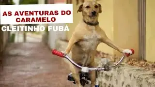 Cleitinho Fub&aacute; na Mira da Pol&iacute;cia: Mist&eacute;rio, Crime e a Pris&atilde;o de Bulldog