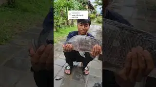 lololo cilik boloo iwak e🤭#kopimbahjebres #sidoarjo #mancing #mancingmania