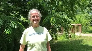 French Broad River Stewards- The History of the Stewards