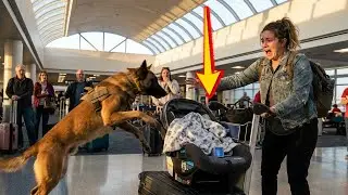 Airport K9 Jumps Onto Baby&rsquo;s Car Seat &mdash; What She Exposed Shocked Everyone