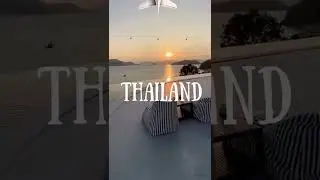 Tours & Traveller Social Media Reel  #graphicdesignagency #creativedesignagency