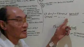 Kuliah Fistum V ( Tanah Sebagai Substar 3 )