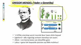 Lewenswetenskappe GR12 Genetika Les2