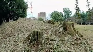 千葉県柏市　松ヶ崎城　その２