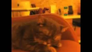 Ağzımı Yüzümü bi yıkayım uyumadan. 🙀