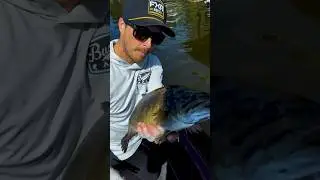 Spring-time Snipin w/ Prostaffers Noah Friesen & Kyle Radawetz