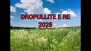Dropullite 2025
