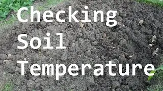 Importance of Checking Soil Temperature Before Planting - Quick Tip