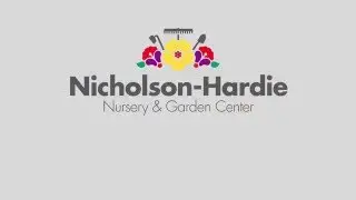Nicholson Hardie HD