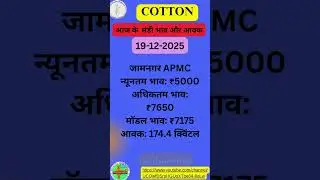 आज के कपास मंडी भाव | #cotton #cottonmandiprices #cottonratetoday #kisan #bhav | #gujrat  #kapas